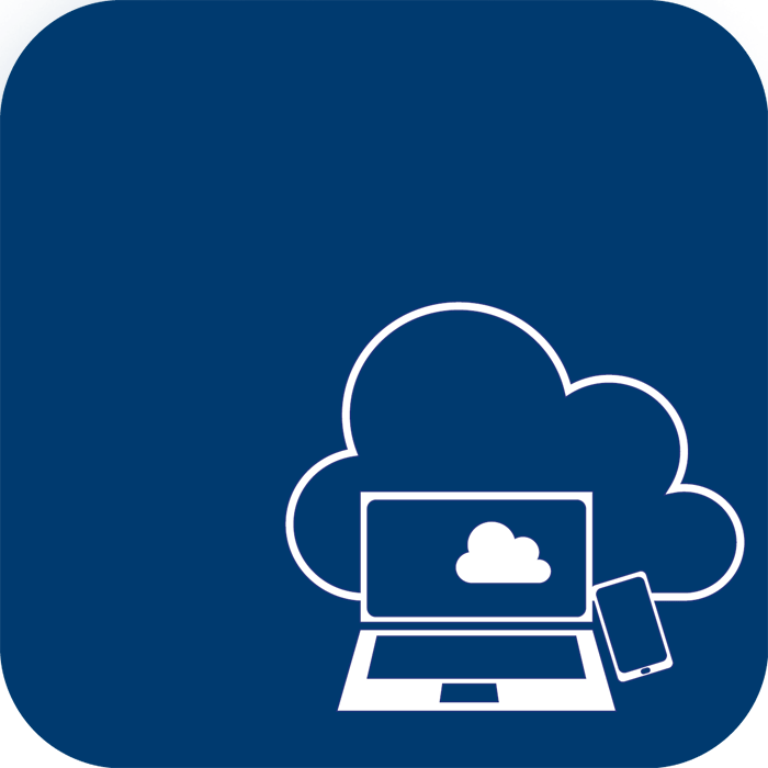 Master in Information Systems Engineering and Management Icon