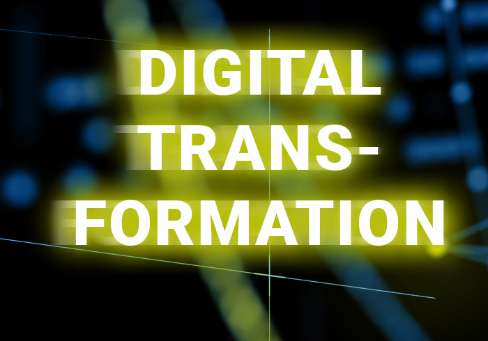 Digital Transformation: Risk or Opportunity?